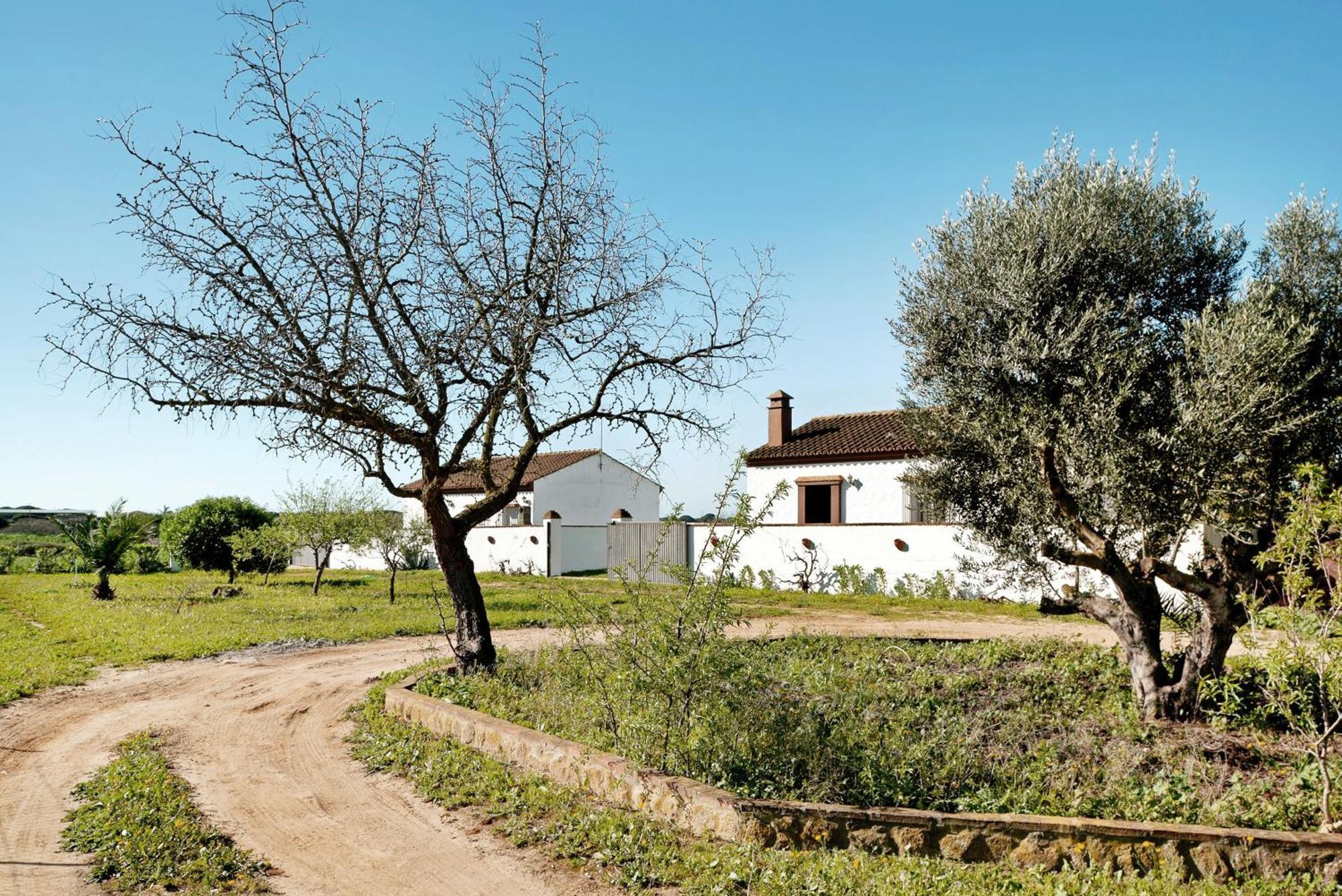 Las Calas De Roche Extérieur photo